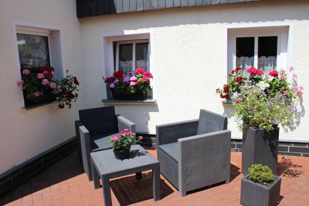 Maisonette-Fewo Fritz Mit Infrarotsauna Grossschoenau Exterior photo