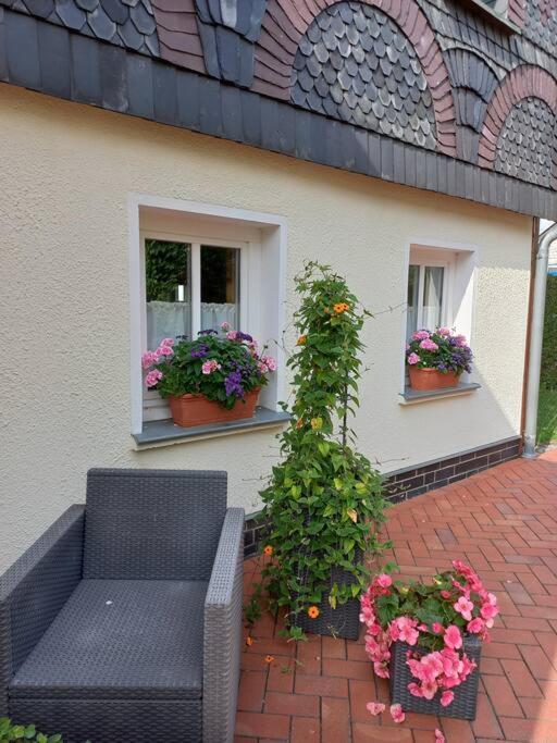 Maisonette-Fewo Fritz Mit Infrarotsauna Grossschoenau Exterior photo